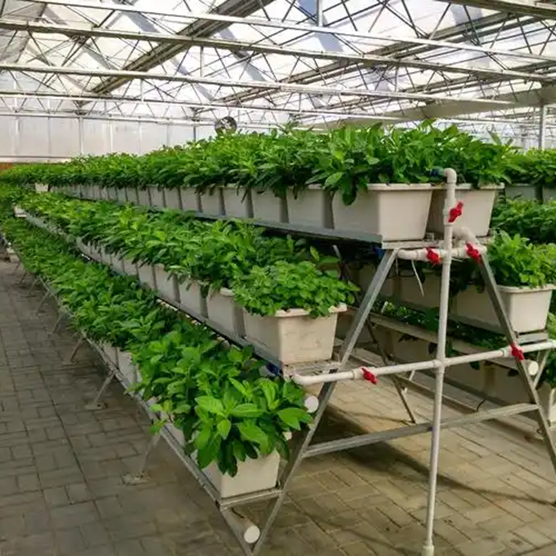 攀枝花市植物工厂智能温室 - 哪里好